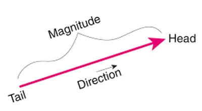 Illustration magnitude - Image 2