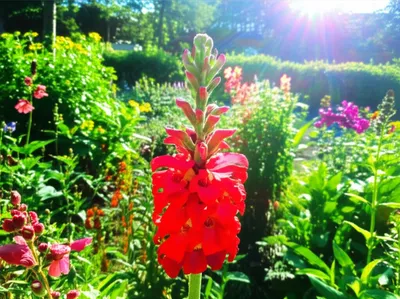 Illustration bettering - Image 1