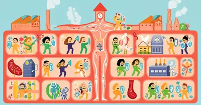 Illustration immune system