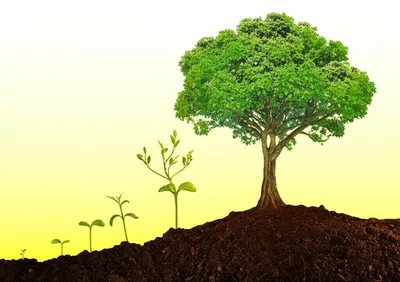 Illustration heighten - Image 1