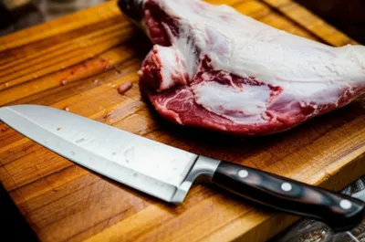 Illustration leg - Image 1