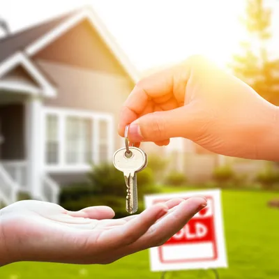 Illustration completion - Image 1