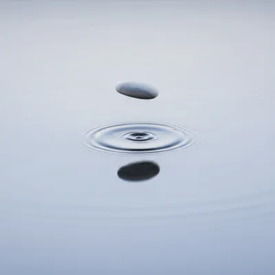 Illustration skitters - Image 1