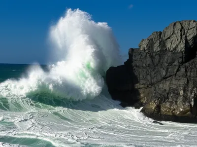 Illustration lashed - Image 1