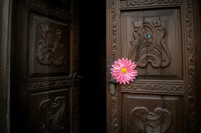 Illustration creative - Image 1