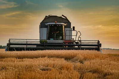 Illustration fields - Image 1