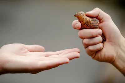 Illustration withhold