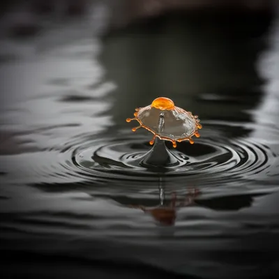 Illustration splash - Image 1