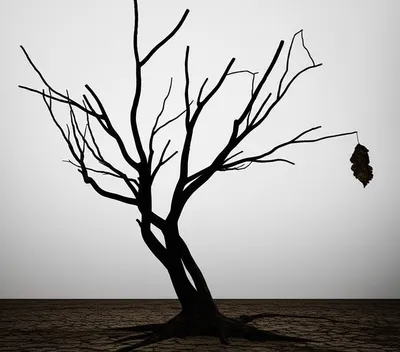 Illustration morbidity - Image 1