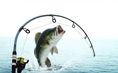 Illustration reeling