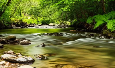 Illustration creek - Image 1