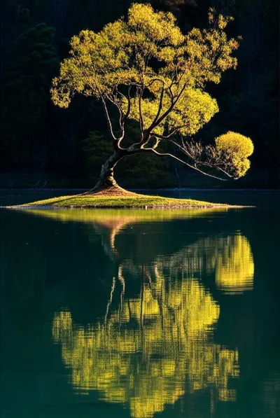 Illustration reflection