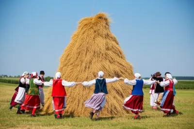 Illustration hay - Image 1