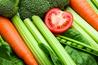 Illustration vegetables - Image 1