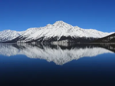 Illustration unmoving