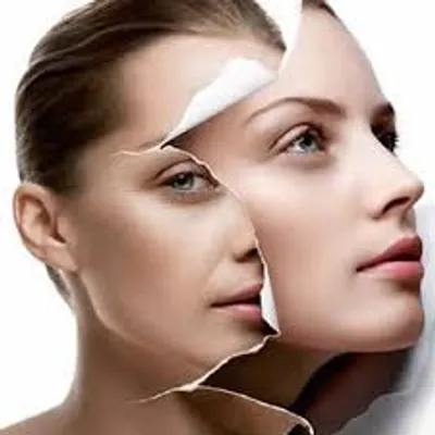 Illustration recreate - Image 2