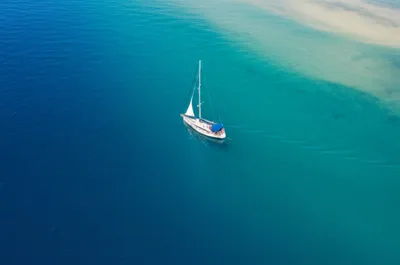 Illustration shoaled - Image 1