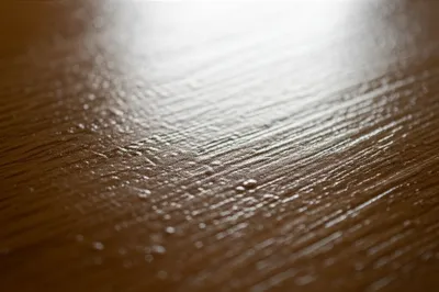 Illustration nibs - Image 1