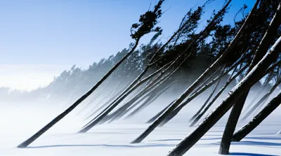 Illustration north - Image 1