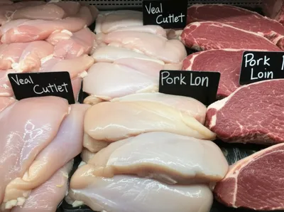 Illustration breast - Image 1