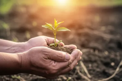 Illustration shoulders - Image 1