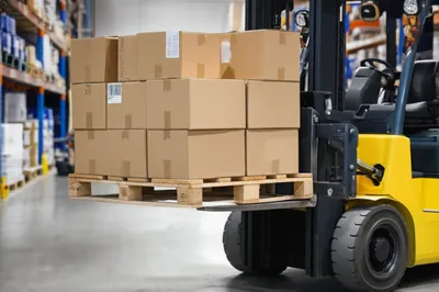 Illustration forks - Image 1