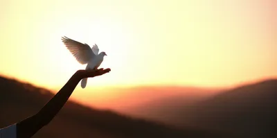 Illustration let - Image 1