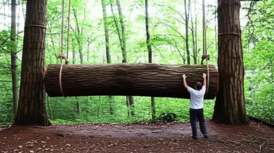 Illustration logging - Image 1