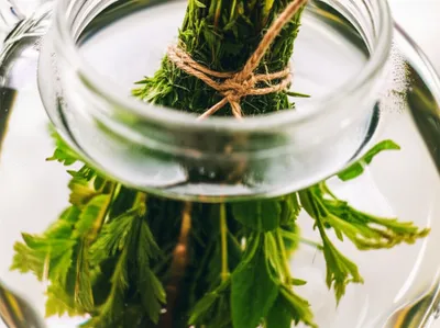 Illustration infusing - Image 1