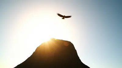 Illustration unquestionably