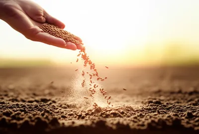 Illustration distributing - Image 1