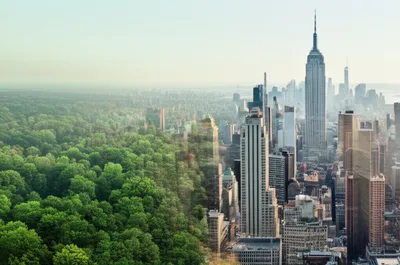 Illustration dissolved - Image 1