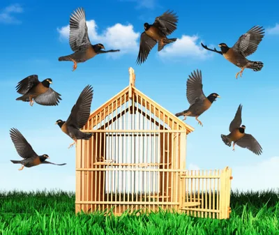 Illustration dispatched - Image 1