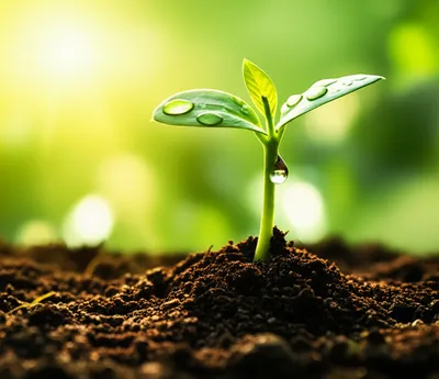 Illustration vital - Image 1