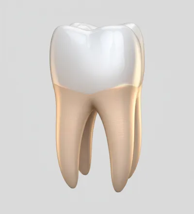 Illustration trigon - Image 1