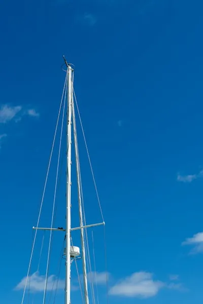 Illustration masthead - Image 2