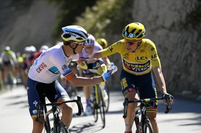 Illustration domestique