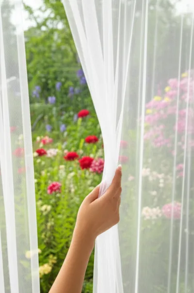 Illustration unveiled - Image 1