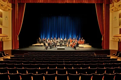 Illustration orchestra - Image 1