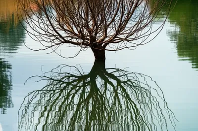 Illustration apparent - Image 1