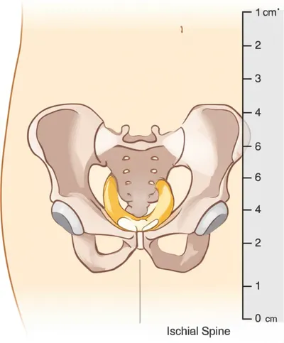 Illustration sta - Image 1