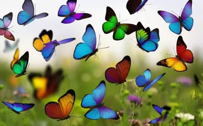 Illustration flighty - Image 1