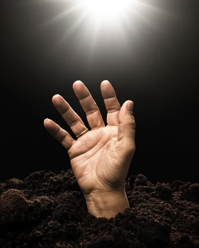 Illustration exhumed