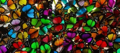 Illustration thickest - Image 1