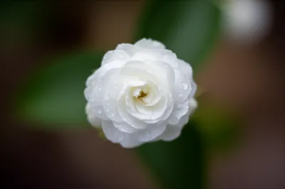 Illustration monocycle - Image 1