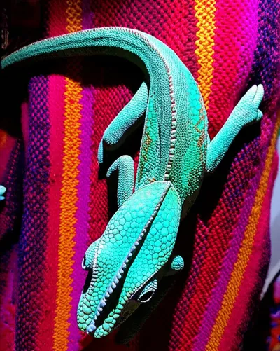 Illustration indue - Image 1