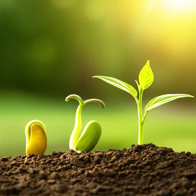 Illustration transpired - Image 1