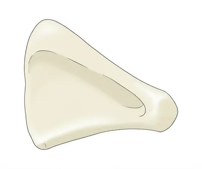 Illustration blade - Image 1