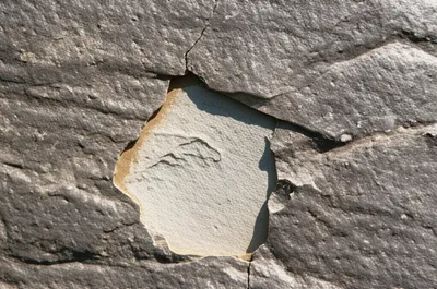 Illustration flake - Image 1