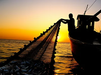 Illustration trawlers - Image 1